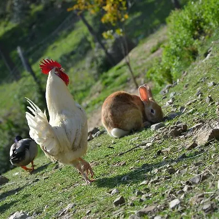 San Basilio Farm stay
